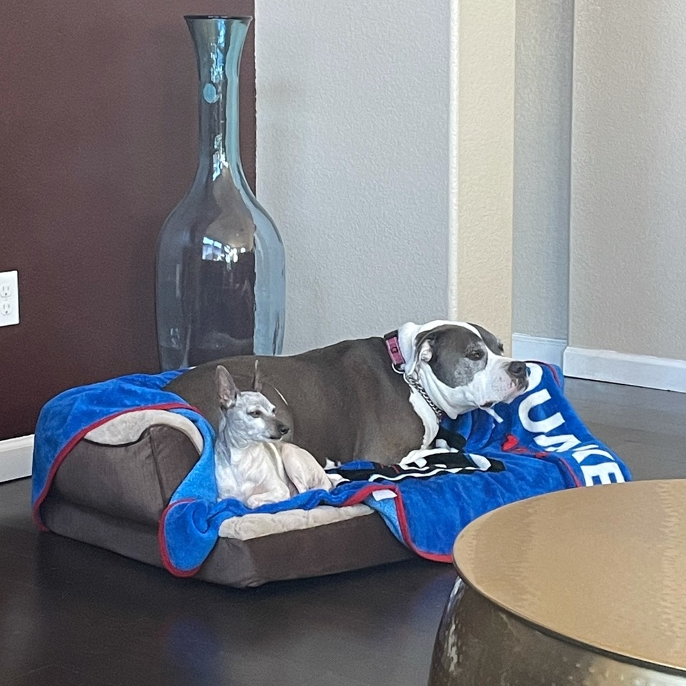 Meet your Posher, Bobbi